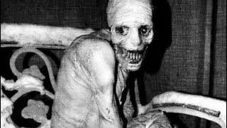 Russian Sleep Experiment edit