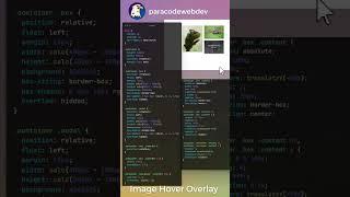 Create Magical Image Hover Overlay Animations in CSS - Here's How!