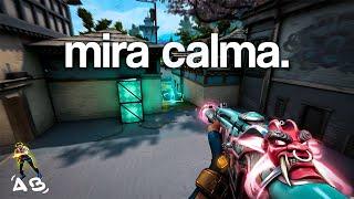 The Secrets Behind Calm Aim