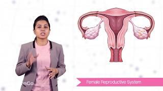 How do Organisms Reproduce -12 | Female reproductive organ | CBSE Class 10