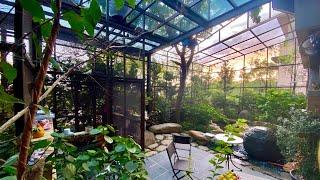 Outdoor Aviary Design: large space for parrots, quails, ducks, chickens and human | JC139