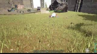 DINO TAMER HQ Live surviving 100 days in hardcore ark survival evolved #shortsfeed #shortsviral