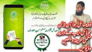 Domicile Mobile Application in Punjab | Check Domicile Status | Urdu