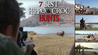 Hippo & Croc - TOP 7 Hunting Videos