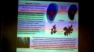 Треугольник жизни от SISEL