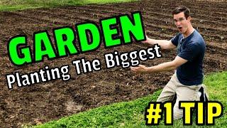 Planting the Largest Vegetable Garden in the World in Your Backyard? One INCREDIBLE Time-Saving Tool