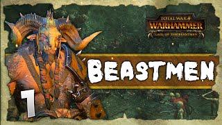 FURY OF THE BEASTMEN! Total War: Warhammer - Beastmen Grand Campaign #1