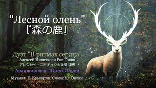 "Лесной олень" 『森の鹿』 Дуэт «В ритмах сердца»