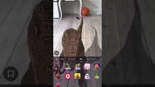 How to use AR EFFECTS in TikTok?