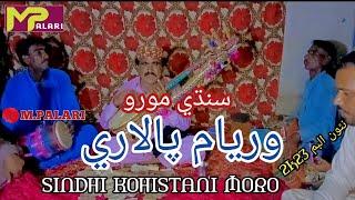 SINDHI MORO || SINDHI NEW ALBUM SONG || SINDHI KOHISTANI MORO #Mpalari