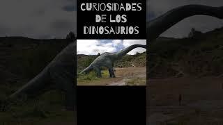 Curiosidades de los dinosaurios #dinosaur #dinosaurs #animals #dinosaurus #dinosaurios #shorts