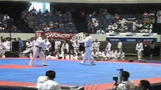 2008 The World Taekwondo Hanmadang