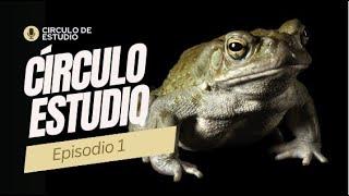 Círculo de Estudio Bufo- 1: Conociendo la Esencia del 5-MeO-DMT y el Bufo Alvarius - Mario Garnier