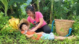 18 year old single mother: Helping an orphan boy - Harvesting papaya | Ly Tieu An
