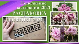 Пополнение коллекции летом 2023 года. Обзор новых сортов фиалок.  Распаковка посылки.