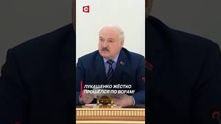 Лукашенко: Отрубите руки тем, кто это делает! #лукашенко #политика #новости #беларусь #shorts