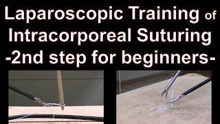 Laparoscopic intracorporeal suturing; 2nd step for beginners