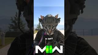 MW2 - Cats with laser eyes 