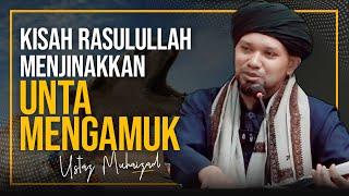 KISAH NABI S.A.W DENGAN UNTA MENGAMUK |  Ustaz Muhaizad Muhammad