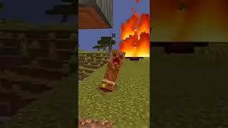 Minecraft : If Saving Enderman was a Choice 