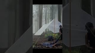 Solo Survival Camping in the Wilderness   #shorts  #solo #camp  #bushcraft #survivalskills