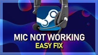 How To Fix Microphone Not Working on Steam Game