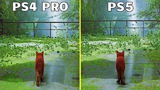 Stray - PS5 Vs PS4 PRO Graphics Comparison 4K