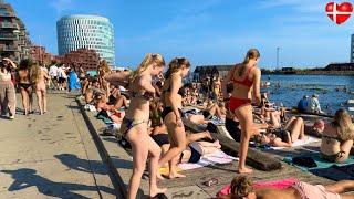 HOT DAYSandkaj Harbor Bath Beach | Copenhagen Denmark | Bikini Beach Walk | September 2024