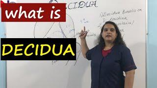 Decidua | Placenta Development [Part-2] Nursing Lecture