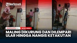 Viral Warga Aceh Kurung Maling dalam Ruangan dan Dilempari Ular Sampai Menangis Histeris