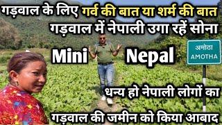 Mini Nepal In Uttrakhand |नेपाली उगा रहे हैं सोना गड़वाल की बंजर भूमी में |@FaujiNaveenVlogs |