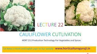 #HORT211 | Lecture 22 Cauliflower Cultivation | फूल गोभी की खेती