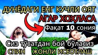 пул чексиз оқади !! Барча хаёт ташвишларини бир зумга унутиб Қуръон тингланг !