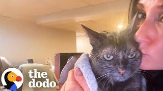 Kitten Loves Her Shower Time, We Swear | The Dodo