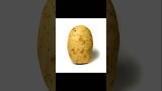 Day 17 of posting Golden Potato #beats #hiphop #typebeat #goldenpotato