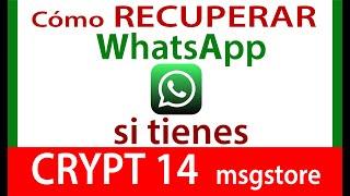 Cómo RECUPERAR chats de WHATSAPP si tienes CRYPT 14