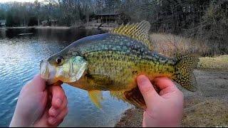 Crappie and Perch on the Rapala Husky Jerk