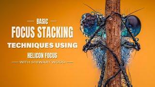 Basic focus Stacking Techniques with Helicon Focus | Tip & Tricks