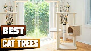 Best Cat Tree In 2024 - Top 10 Cat Trees Review