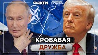 Путин ЛИКУЕТ! Трамп ОТДАСТ украинскую ЗЕМЛЮ?  Россияне ПОЗАРИЛИСЬ на НАТО