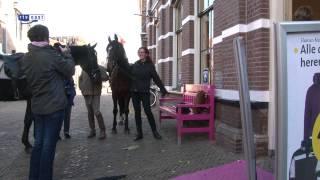 Het paard versus de auto in Ommen