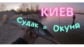 Рыбалка на спиннинг в Киеве. Судак и окунь в Киеве.