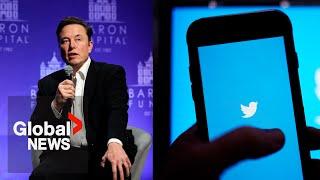 Twitter employees sue after mass layoffs following Elon Musk's takeover