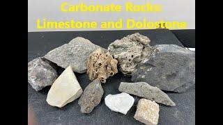 Rock Identification with Willsey: Carbonate Sedimentary Rocks (Limestone and Dolostone)