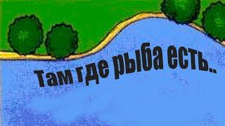 Самая рыбная река в России, где находится и что там обитает?