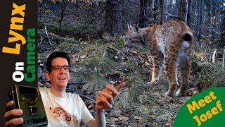 Eurasian lynx on camera trap in Slovakia - Camera trapping for wildlife - Rys ostrovid - lynx lynx