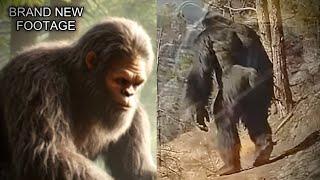 New Bigfoot Videos YOU Haven’t Seen! *EXCLUSIVE FOOTAGE*