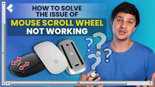 How to Solve the Issue of Mouse Scroll Wheel Not Working