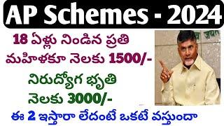 AP latest Schems 2024|adabidda nidhi scheme 2024|nirudyoga bruthi 2024 latest news|cbn schemes 2024