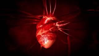 Heartbeat heart ️ stock footage #copyrightfree #stockvideo #free